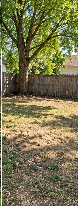 Cleared yard after cleanup