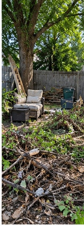 Yard debris before removal